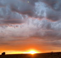 creative 3D sculpture share - Lightning Ridge Tourism
