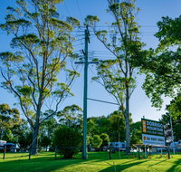 Dorrigo Mountain Holiday Park - Lightning Ridge Tourism