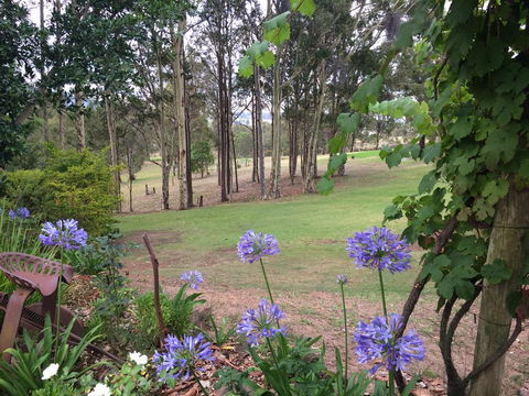 Elfin Hill Vineyard Accommodation - Lightning Ridge Tourism 2