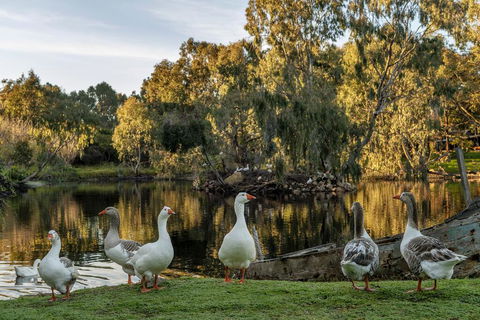 Empire Spa Retreat - Lightning Ridge Tourism 2