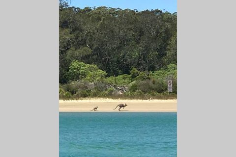 FAIRVIEW COTTAGE 25B - Waterfront Accommodation - Lightning Ridge Tourism 0