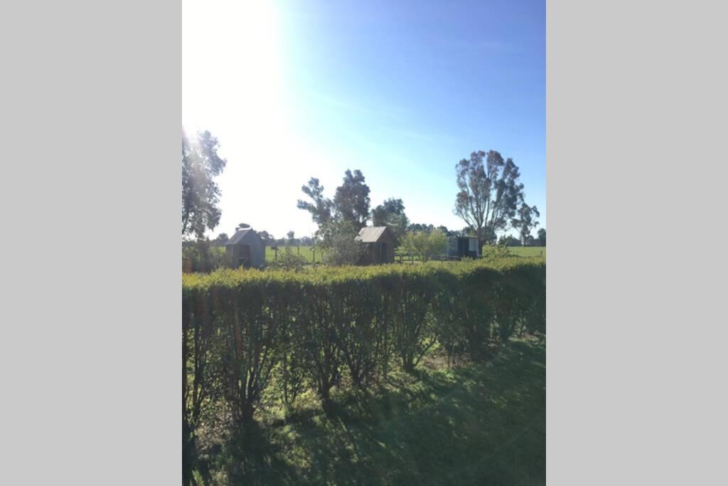  Lightning Ridge Tourism