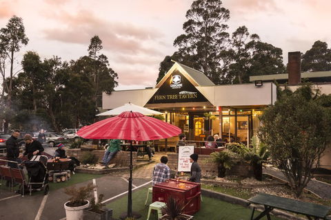 Fern Tree Tavern - Lightning Ridge Tourism 0