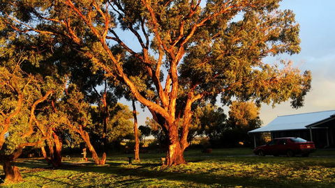 French Island Cottage - Lightning Ridge Tourism 1