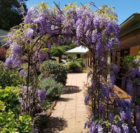 Gumtree House Montville - Lightning Ridge Tourism