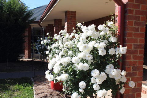 Gundaroo Manor Bed & Breakfast - Lightning Ridge Tourism 3