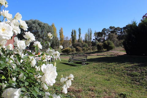 Gundaroo Manor Bed & Breakfast - Lightning Ridge Tourism 2