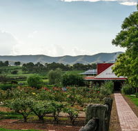 Hanging Tree Wines - Lightning Ridge Tourism