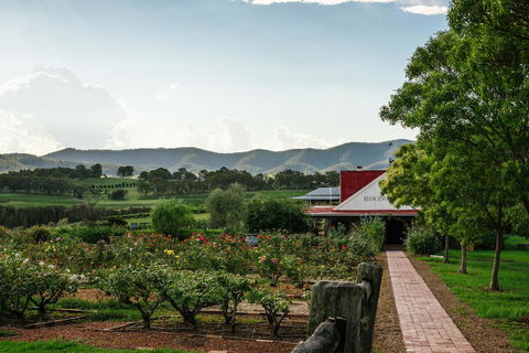 Hanging Tree Wines - Lightning Ridge Tourism 0