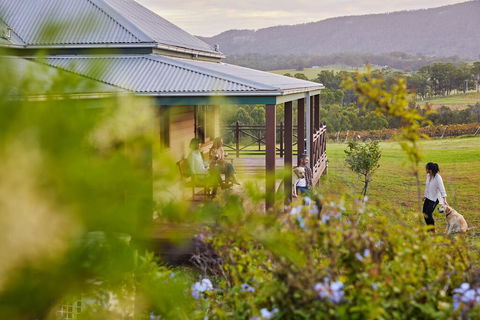 Hanging Tree Wines - Lightning Ridge Tourism 3