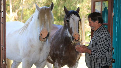 Hatchers Richmond Manor - Lightning Ridge Tourism 1