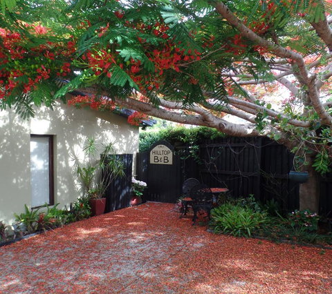 Hilltop B&B - Lightning Ridge Tourism 2