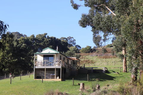 Johanna River Farm & Cottages - Lightning Ridge Tourism 2