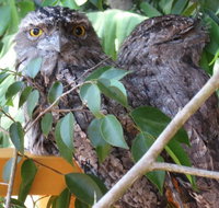 Karma Cottage - Lightning Ridge Tourism