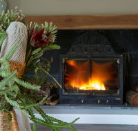 KOALA GULLY - Lightning Ridge Tourism