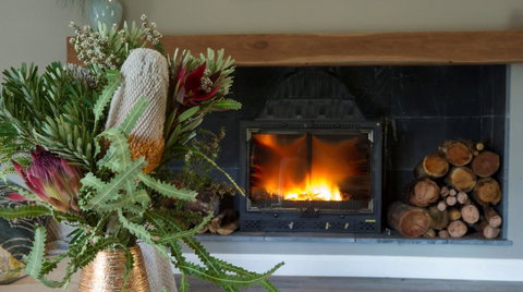 KOALA GULLY - Lightning Ridge Tourism 0