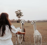 Laurina Estate - Lightning Ridge Tourism