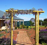 Lavendale Farmstay and Cottages York - Lightning Ridge Tourism