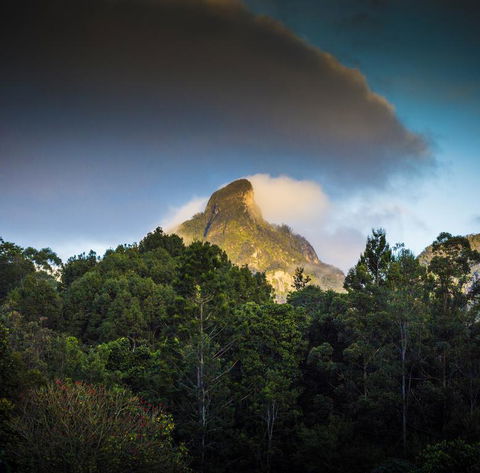 Mavis's Cabins @ Mt Warning - Lightning Ridge Tourism 1