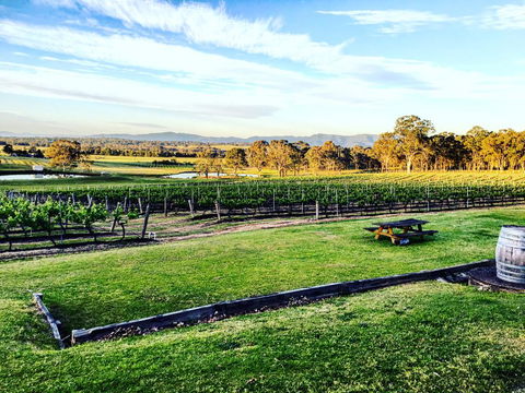Molly Morgan Vineyard - Lightning Ridge Tourism 1