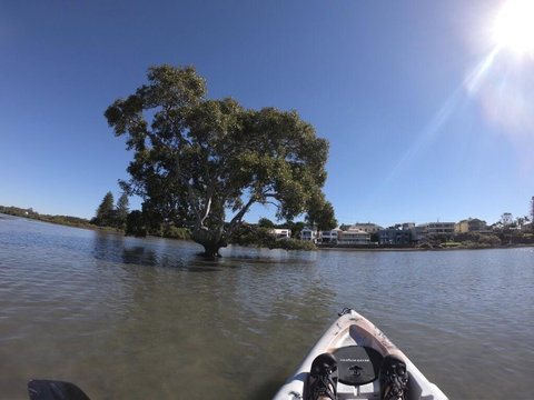 Moreton Bay Beach Lodge - Lightning Ridge Tourism 1