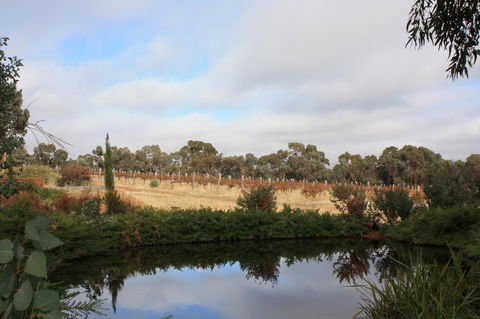 Hotham Ridge Estate - Lightning Ridge Tourism 27