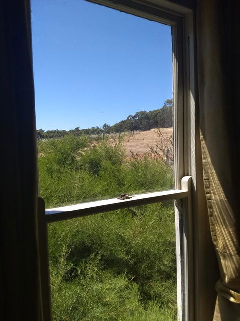 Hotham Ridge Estate - Lightning Ridge Tourism 8