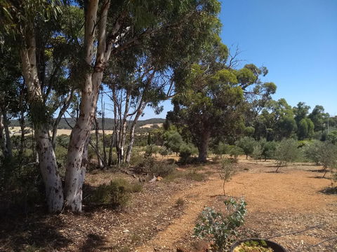 Hotham Ridge Estate - Lightning Ridge Tourism 13