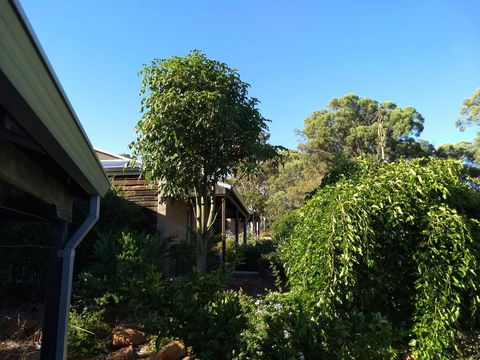 Hotham Ridge Estate - Lightning Ridge Tourism 5