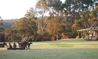 Book Walpole Accommodation Vacations Lightning Ridge Tourism Lightning Ridge Tourism