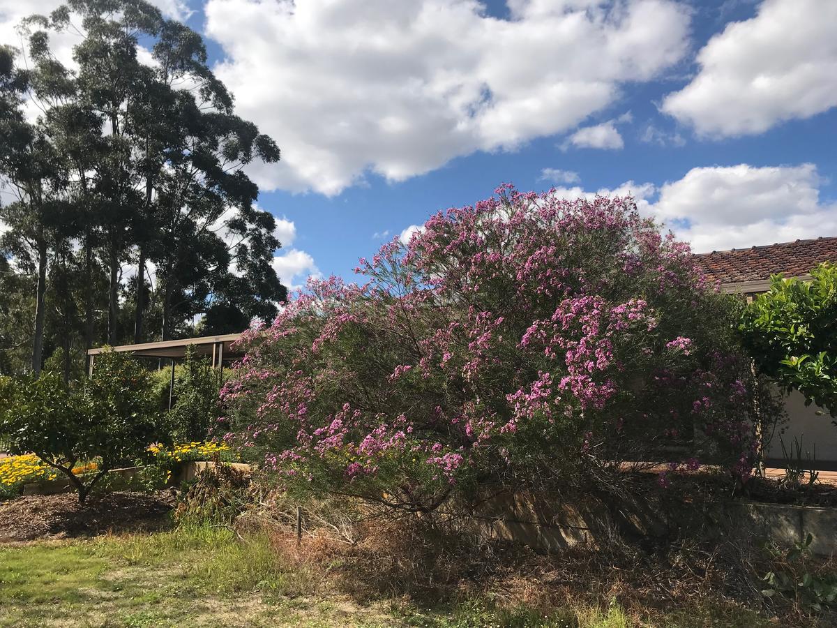Aubin Grove WA Lightning Ridge Tourism