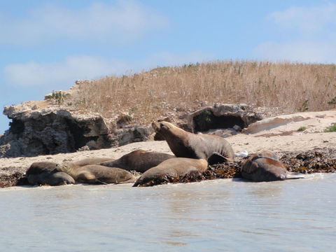 Island View Villas - Lightning Ridge Tourism 14