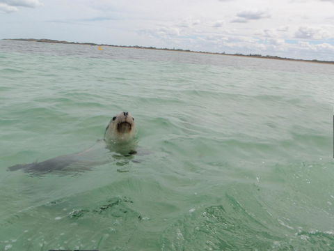 Island View Villas - Lightning Ridge Tourism 13