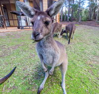 Yelverton Brook Eco Spa Retreat  Conservation Sanctuary - Lightning Ridge Tourism