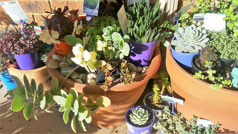 Quest Yelverton Kalgoorlie - Lightning Ridge Tourism 11