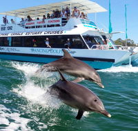 Belvedere Caravan Park - Lightning Ridge Tourism