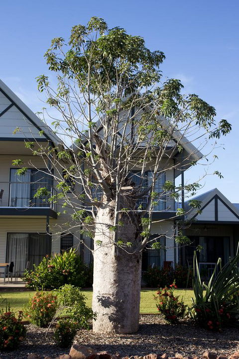 Freshwater East Kimberley Apartments - Lightning Ridge Tourism 18