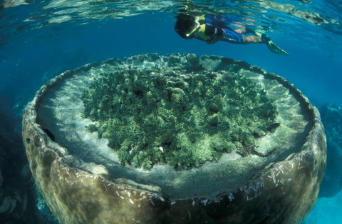 Sal Salis Ningaloo Reef - Lightning Ridge Tourism 8