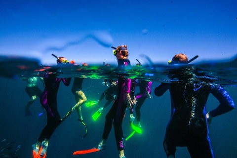 Sal Salis Ningaloo Reef - Lightning Ridge Tourism 26