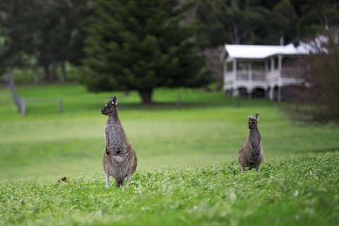 Sienna Lodge - Lightning Ridge Tourism 14