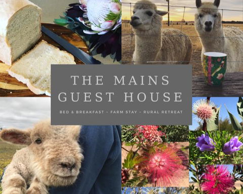 The Mains Guest House 2 Bedroom Farm Stay - Lightning Ridge Tourism 0