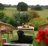 Silversprings cottages - Lightning Ridge Tourism