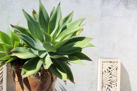 Moana Spa Villas - Prime Yallingup Location - Lightning Ridge Tourism 22