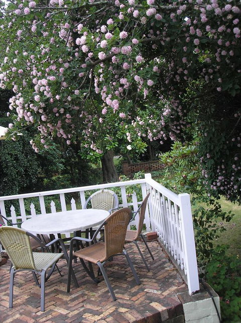 Anabel\'s Of Scottsdale - Lightning Ridge Tourism 33