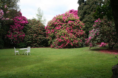 Anabel\'s Of Scottsdale - Lightning Ridge Tourism 39