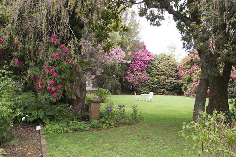 Anabel\'s Of Scottsdale - Lightning Ridge Tourism 35