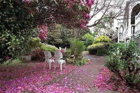 Anabel\'s Of Scottsdale - Lightning Ridge Tourism 36