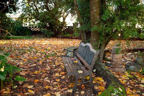 Anabel\'s Of Scottsdale - Lightning Ridge Tourism 38