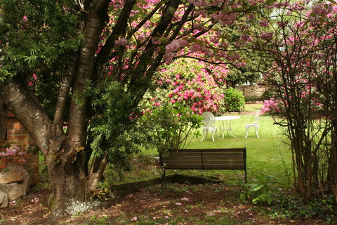 Anabel\'s Of Scottsdale - Lightning Ridge Tourism 34