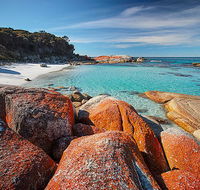 Homelea Accommodation - Lightning Ridge Tourism